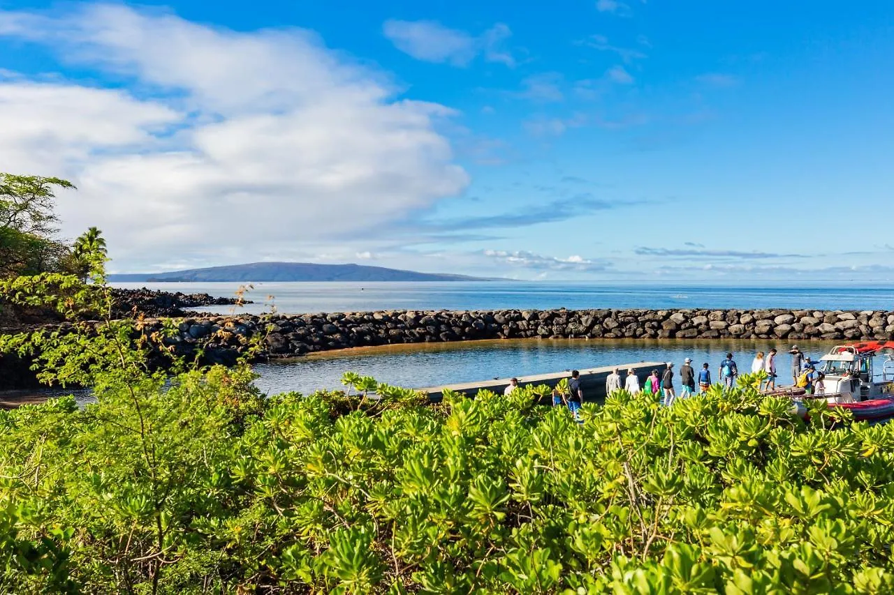 Maui Kamaole M109 Villa Wailea  Holiday home